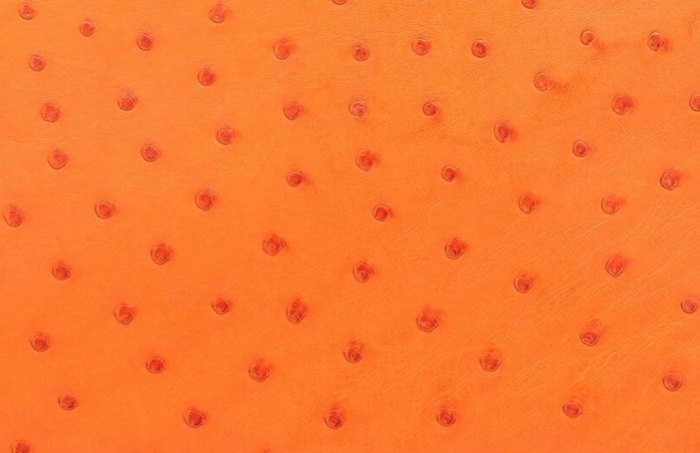 hermes-tangerine-color