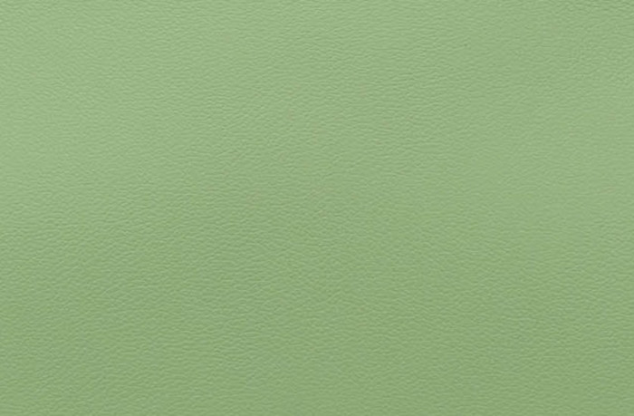 hermes-vert-criquet-color
