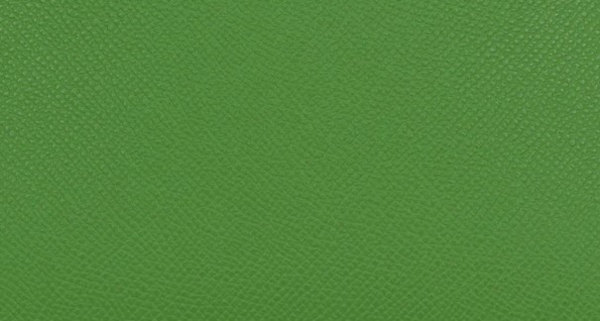 hermes-vert-yucca-color